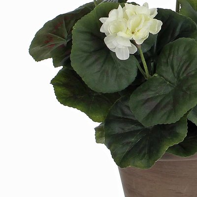 Künstliche Pflanze Geranie Cremeweiß - H 34 cm - Keramiktopf - Mica Decorations