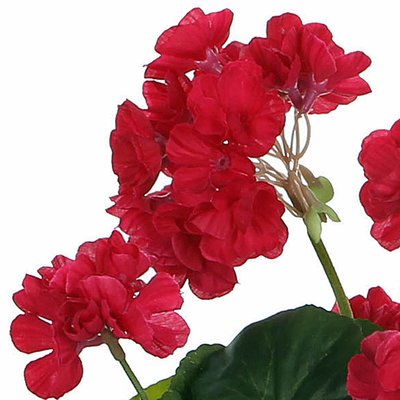 Kunstplant Geranium donkerroze - H 34cm - Keramiek sierpot - Mica Decorations