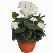 Künstliche Pflanze Geranie Cremeweiß - H 35 cm - Keramiktopf - Mica Decorations