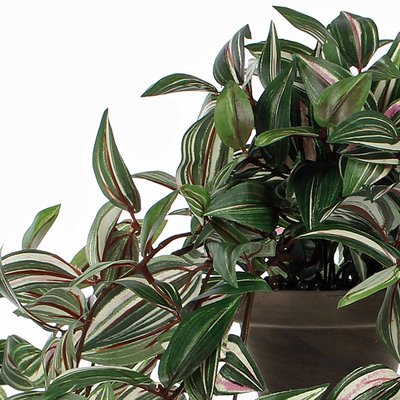 Künstliche Pflanze Tradescantia Grünbunt - L 45cm - Keramiktopf - Mica Decorations