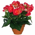 Kunstplant Begonia Donker roze - H 25cm - Terracotta sierpot - Mica Decorations