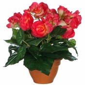 Kunstplant Begonia Donker roze - H 25cm - Terracotta sierpot - Mica Decorations