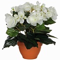 Kunstplant Begonia Wit - H 25cm - Terracotta sierpot - Mica Decorations