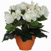 Künstliche Pflanze Begonie Weiß - H 25cm - Terrakottatopf - Mica Decorations