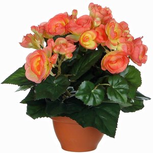 Kunstplant Begonia Zalm - H 25cm - Terracotta sierpot - Mica Decorations