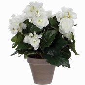 Kunstplant Begonia Wit - H 30cm - Keramiek sierpot - Mica Decorations