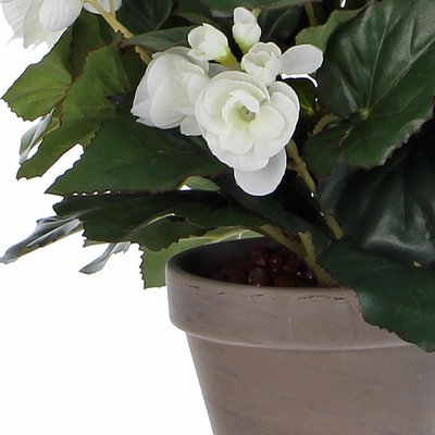 Kunstplant Begonia Wit - H 30cm - Keramiek sierpot - Mica Decorations