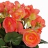 Kunstplant Begonia Zalm - H 30cm - Keramiek sierpot - Mica Decorations