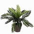 Kunstplant Palm Cycas Groen - H 33cm - Keramiek sierpot - Mica Decorations