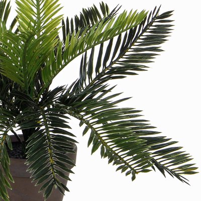 Künstliche Pflanze Palm Cycas Grün - H 33cm - Keramiktopf - Mica Decorations