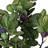 Künstliche Pflanze Fig Grün - H 50cm - Keramiktopf - Mica Decorations
