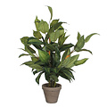 Kunstplant Hosta Groen - H 65cm - Keramiek sierpot - Mica Decorations