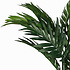 Künstliche Pflanze Palm Areca Grün - H 45cm - Keramiktopf - Mica Decorations