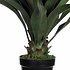 Kunstplant Agave Groen - H 60cm - Kunststof sierpot - Mica Decorations