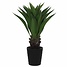 Kunstplant Agave Groen - H 80cm - Kunststof sierpot - Mica Decorations