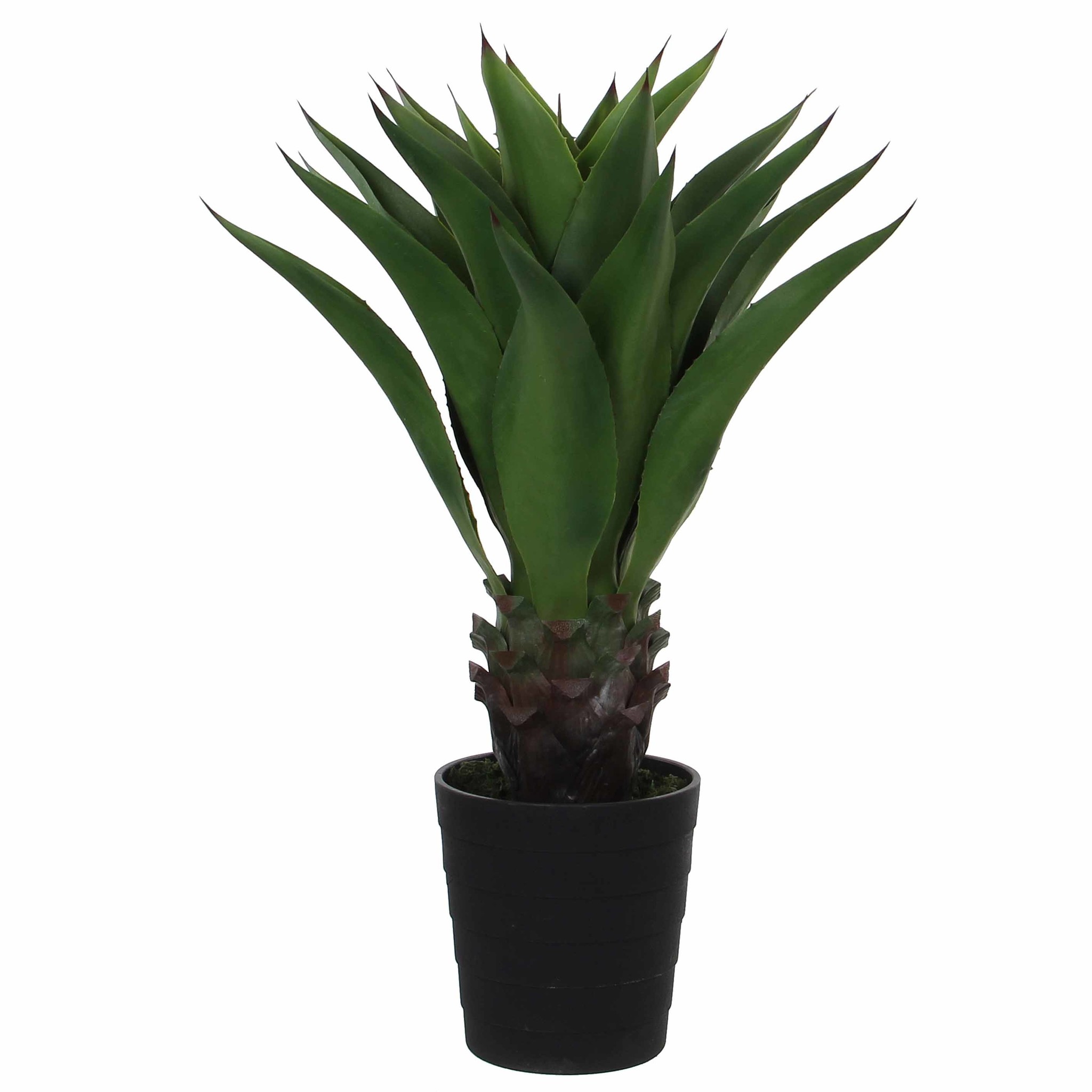 Shop Künstliche Pflanze Agave Grün - H 80cm - Kunststoff Ziertopf - Mica De  Online - Plant New Day