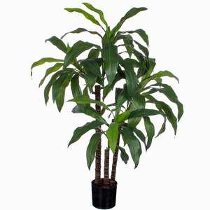 Künstliche Pflanze Dracaena Grün - H 100cm - Kunststofftopf - Mica Decorations