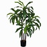 Künstliche Pflanze Dracaena Grün - H 100cm - Kunststofftopf- Mica Decorations