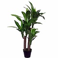 Kunstplant Dracaena Groen - H 110cm - Kunststof pot - Mica Decorations