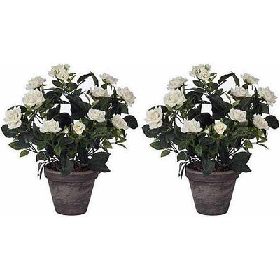 2 Stück - Pflanze Rosebush Weiß - H 33cm - Keramiktopf - Mica Decorations
