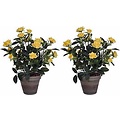 2 Stück - Pflanze Rosebush Gelb - H 33cm - Keramiktopf - Mica Decorations