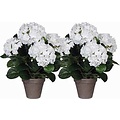 2 Stück - Künstliche Pflanze Hortensie Weiß - H 45 cm - Keramiktopf - Mica Decorations