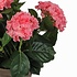 2 Stück - Künstliche Pflanze Hortensie Rosa - H 45 cm - Keramiktopf - Mica Decorations