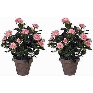 2 Stück - Pflanze Rosebush Rosa - H 33cm - Keramiktopf - Mica Decorations