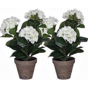 2 Stück - Künstliche Pflanze Hortensie Weiß - H 40 cm - Keramiktopf - Mica Decorations