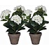 2 stuks - Kunstplant Hortensia Wit - H 40cm - Keramiek sierpot - Mica Decorations