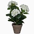 2 stuks - Kunstplant Hortensia Wit - H 40cm - Keramiek sierpot - Mica Decorations