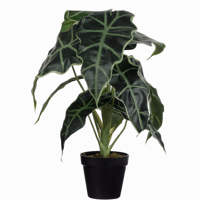 Kunstplant Alocasia Groen - H 50cm - Kunststof sierpot - Mica Decorations