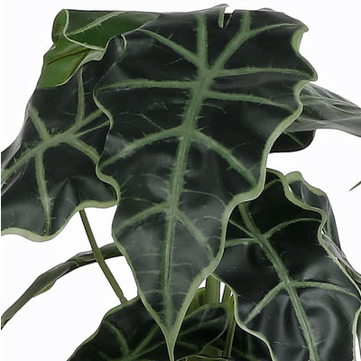 Künstliche Pflanze Alocasia Grün - H 50cm - Kunststoff Ziertopf - Mica Decorations