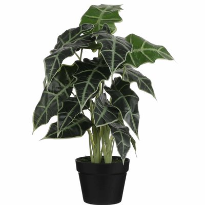 Künstliche Pflanze Alocasia Grün - H 60cm - Kunststoff Ziertopf - Mica Decorations