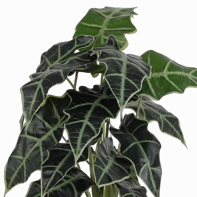 Künstliche Pflanze Alocasia Grün - H 60cm - Kunststoff Ziertopf - Mica Decorations