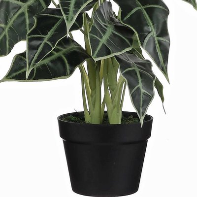 Künstliche Pflanze Alocasia Grün - H 60cm - Kunststoff Ziertopf - Mica Decorations