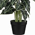 Künstliche Pflanze Alocasia Grün - H 60cm - Kunststoff Ziertopf - Mica Decorations