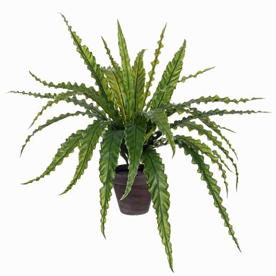 Kunstplant Asplenium Groen - H 54cm - Keramiek sierpot - Mica Decorations