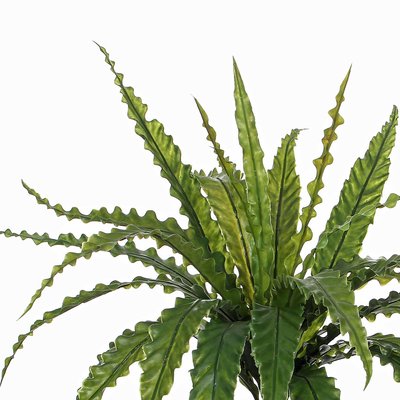 Künstliche Pflanze Asplenium Grün - H 54cm - Keramiktopf - Mica Decorations