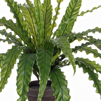 Künstliche Pflanze Asplenium Grün - H 54cm - Keramiktopf - Mica Decorations