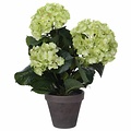 Kunstplant Hortensia Groen / Crème- H 40cm - Keramiek sierpot - Mica Decorations