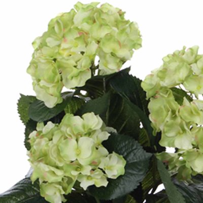 Künstliche Pflanze Hortensie Grün / Creme - H 40 cm - Keramiktopf - Mica Decorations