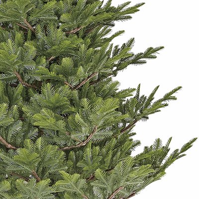 Chir Pine - Groen - BlackBox kunstkerstboom