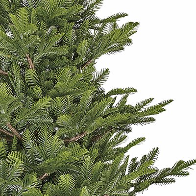 Chir Pine - Groen - BlackBox kunstkerstboom