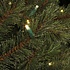 Toronto Deluxe LED - Groen - BlackBox kunstkerstboom