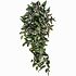 Kunstplant Tradescantia  Groen - Steker L 80cm - Mica Decorations