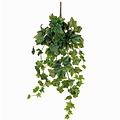 Künstliche Kletterpflanze Hedera Grün -Stecker L 70cm - Mica Decorations