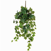 Künstliche Kletterpflanze Hedera Grün -Stecker L 70cm - Mica Decorations