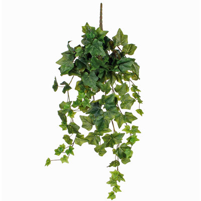 Künstliche Kletterpflanze Hedera Grün -Stecker L 70cm - Mica Decorations