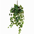 Kunstplant Hedera Groen - Steker L 70cm - Mica Decorations